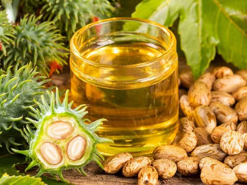 Castor oil in glass jar with castor seeds around it