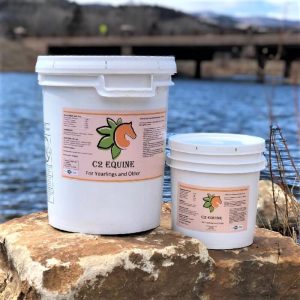 Two different sized buckets of C2 Equine product