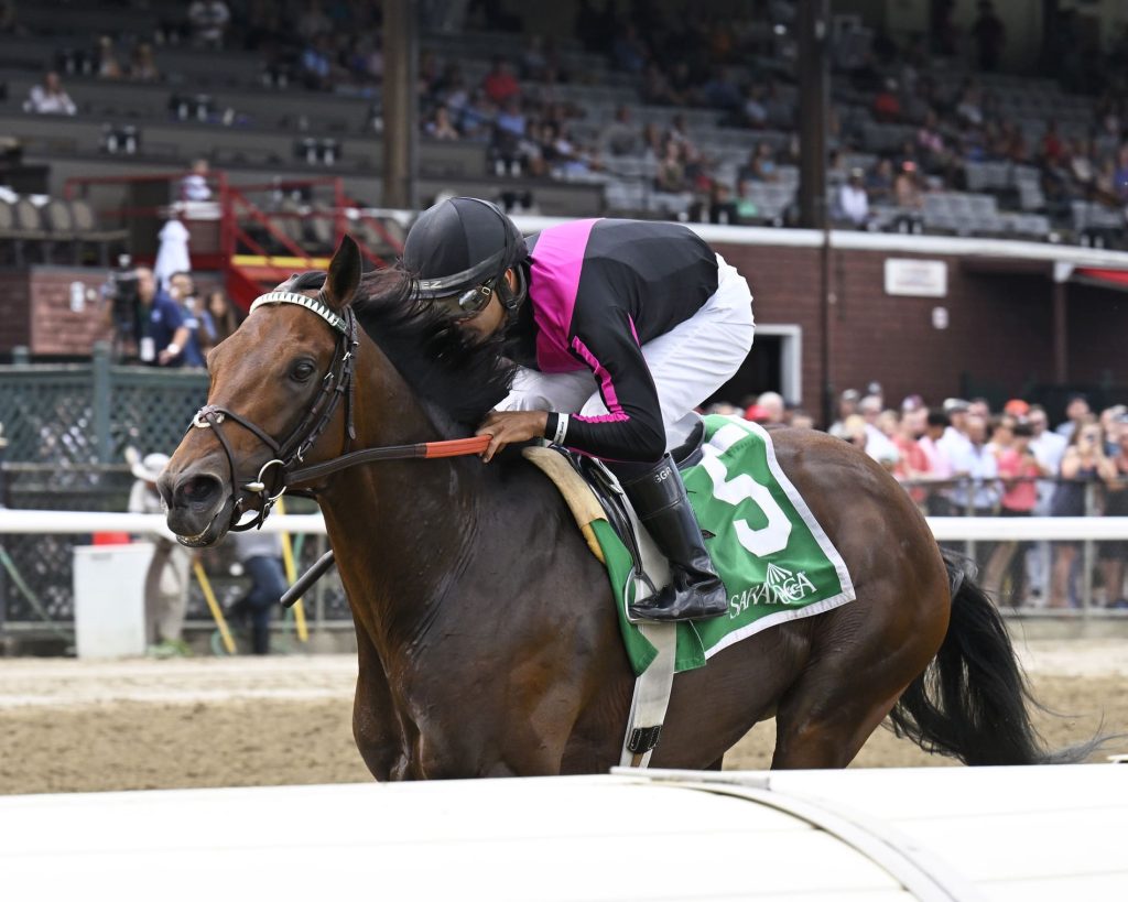 Jockey racing brown horse